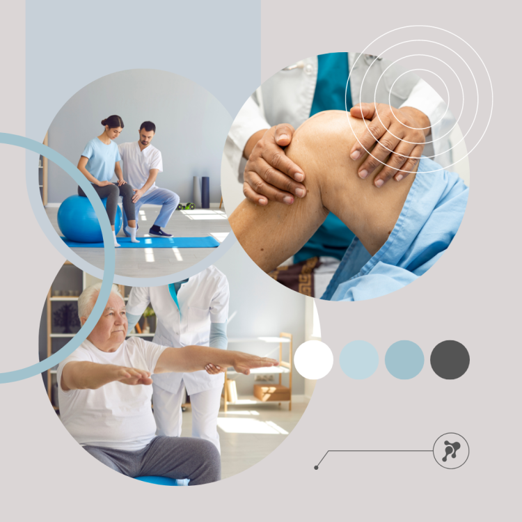 Фитокрем-бальзам (Крем для суставов, фитокрем) для суставов, локтей 250 мл. DctrGo  в Челябинске